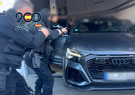 Kidnappings, cybercrime and sexual offences lead crime records in Malaga province