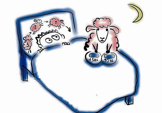 Weighted blankets to fight insomnia: when gaining ten kilos can help