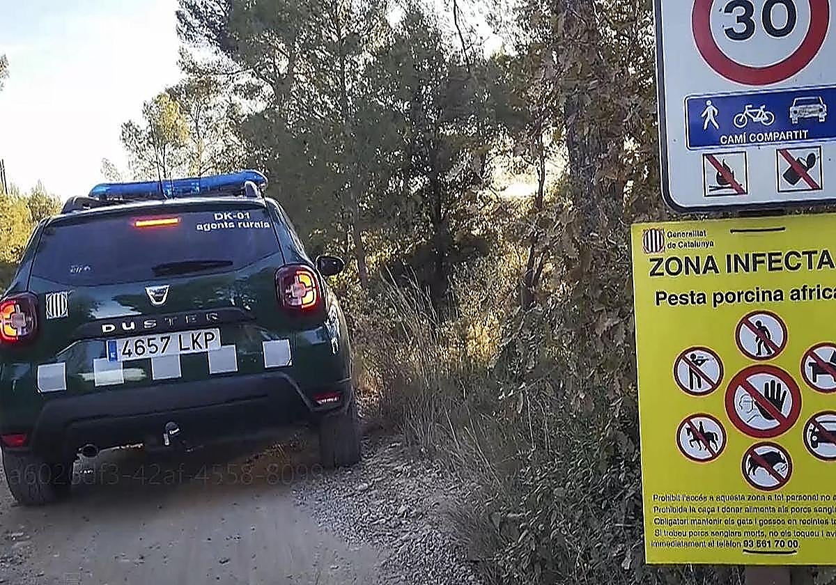 Spain's emergency military unit to join containment operation of wild boars infected with swine flu