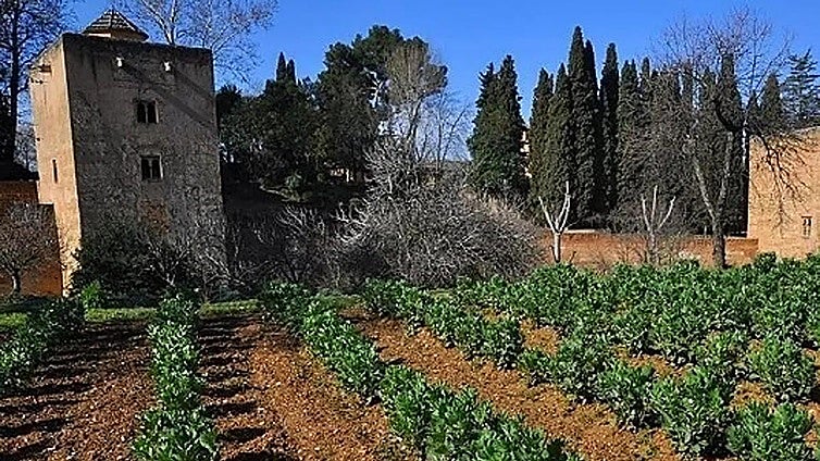 Alhambra palace's 'Casa de la Huerta Colorá' to be restored