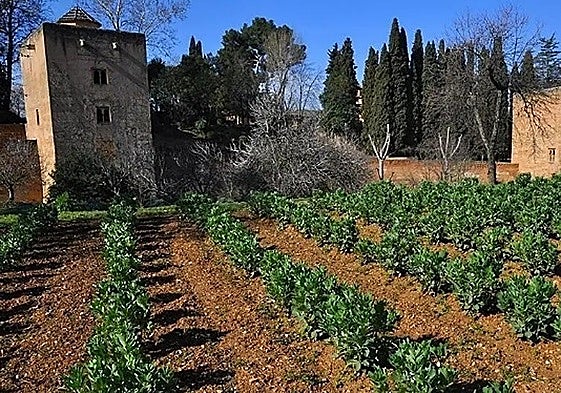 House of the Huerta Colorá in the Generalife .