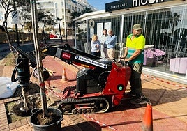 More than 200 trees are being planted in different areas of the town.