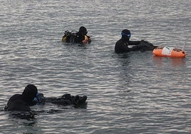 Divers setting up the Posidonia monitoring station in Calahonda.