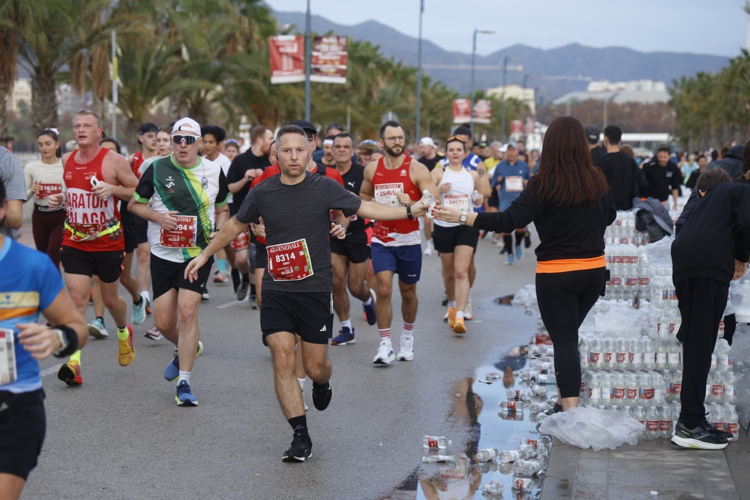 Malaga marathon in pictures (1)