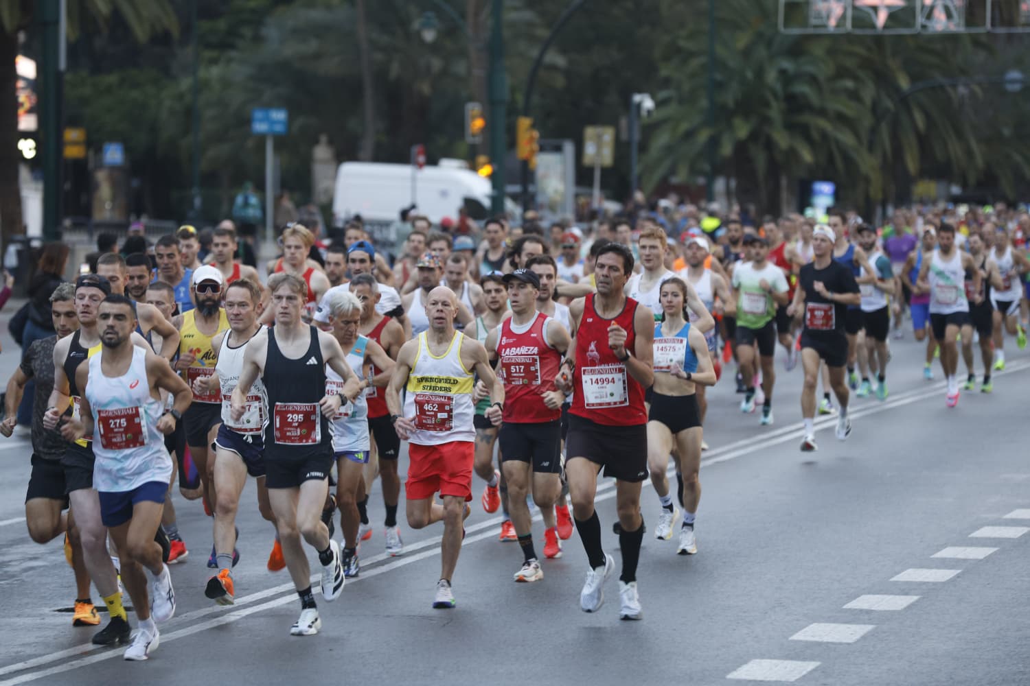 Malaga marathon in pictures (1)