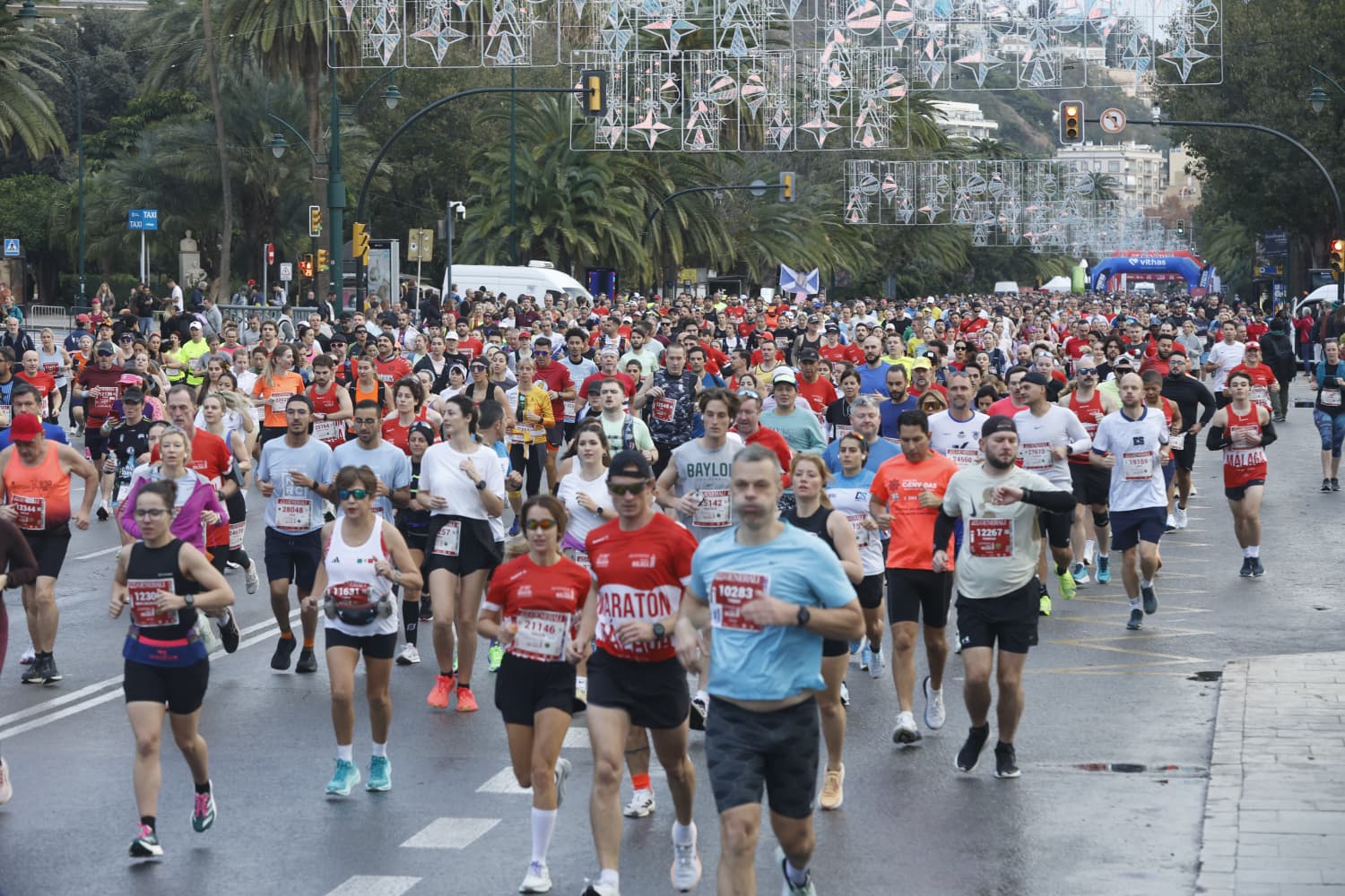 Malaga marathon in pictures (1)