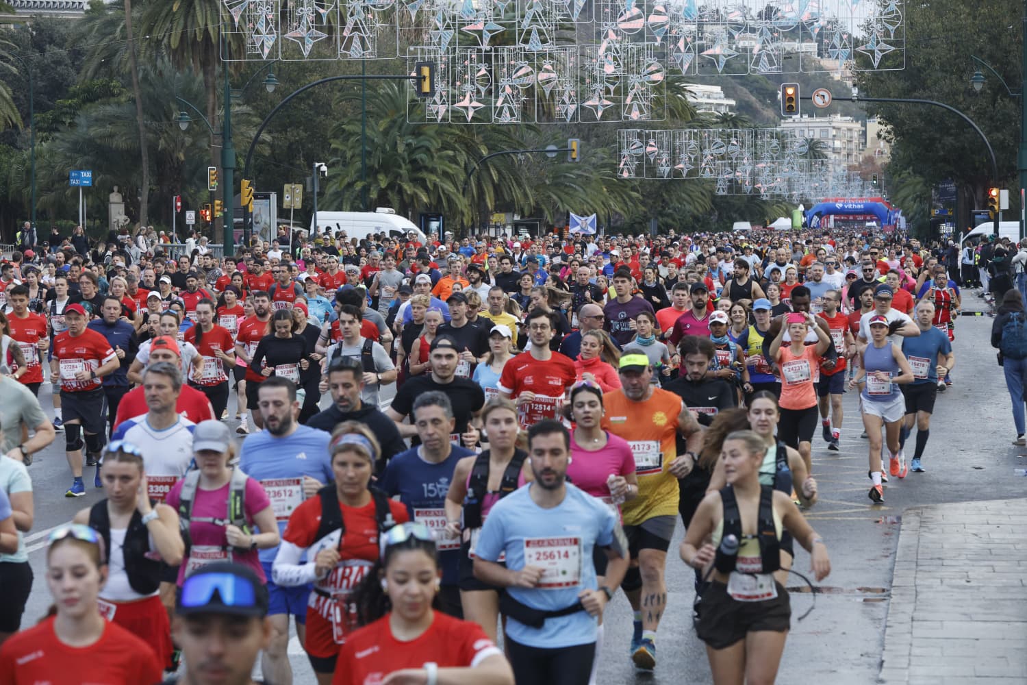 Malaga marathon in pictures (1)