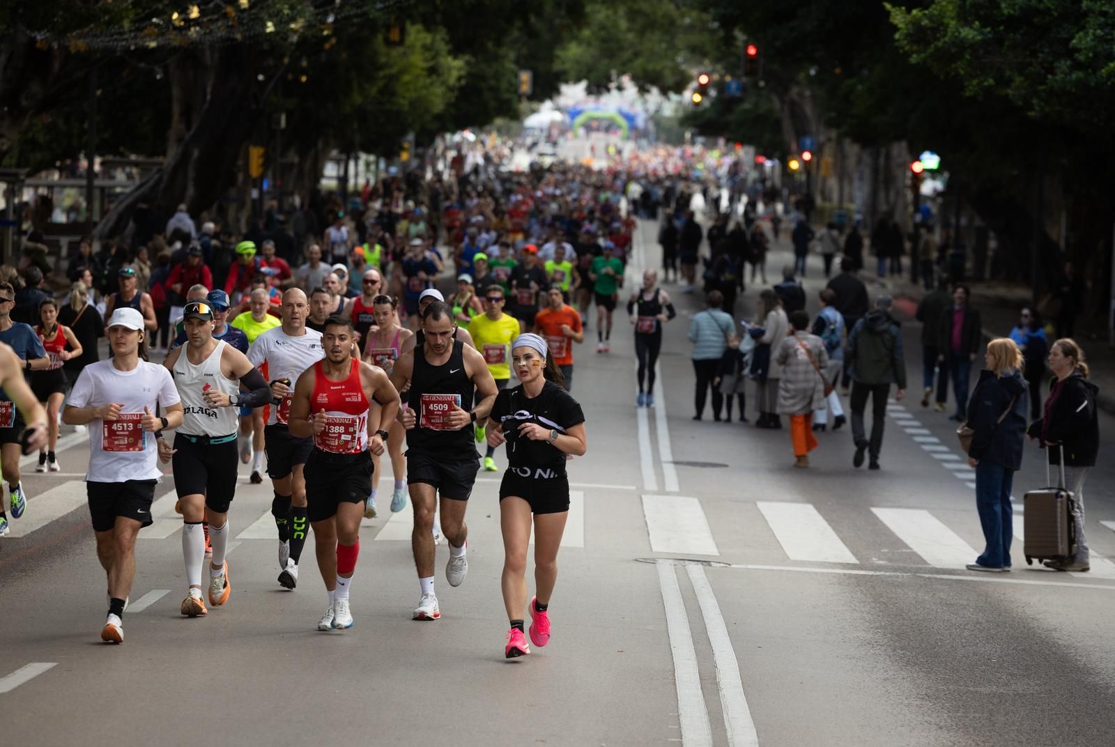 Malaga marathon in pictures (2)