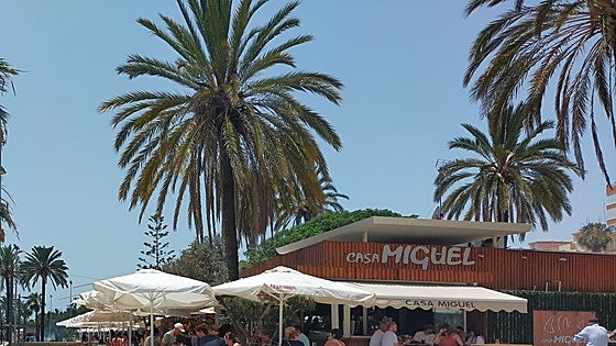 'Capital' of eastern Costa del Sol reports 15 per cent rise in tourist accommodation in 2025