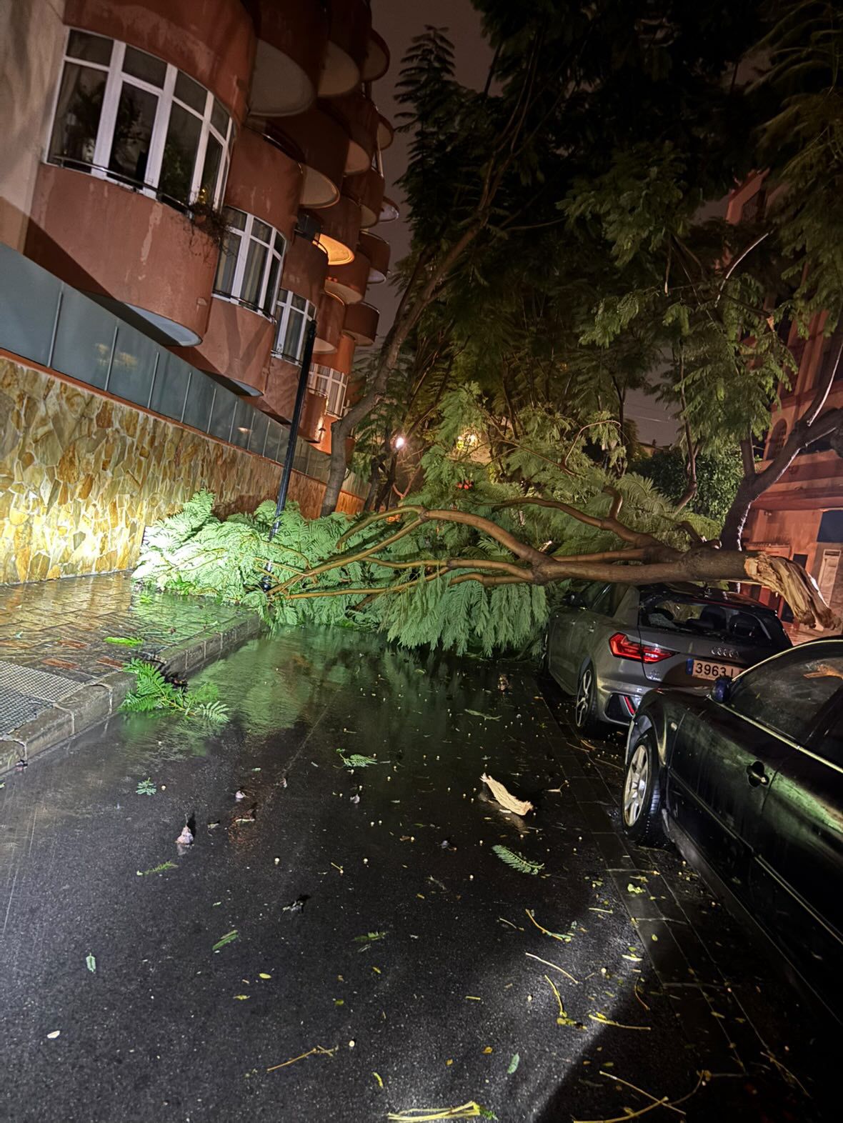 Uprooted tree falls on top of car due to strong winds 