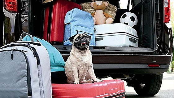 Spain fails in 'pet friendly' roadside service stations ahead of Christmas exodus