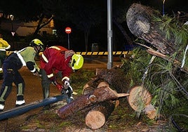 Storm results in more than 300 emergency incidents across Malaga province with people rescued and evacuated from their homes
