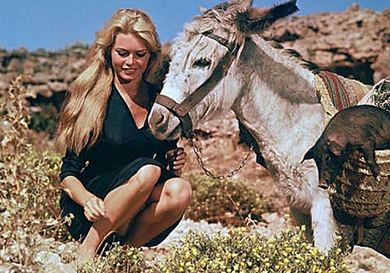 Brigitte Bardot, with her donkey Romeo, during the filming of 'Los Joyeros del Claro de Luna' in El Chorro.