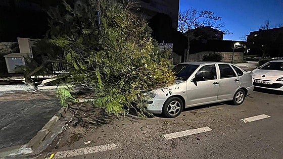 Three Kings Day marked by numerous wind-related incidents on Costa del Sol