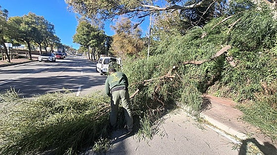 More than 20 incidents recorded in Benalmádena on Three Kings' Day due to strong gusts of wind
