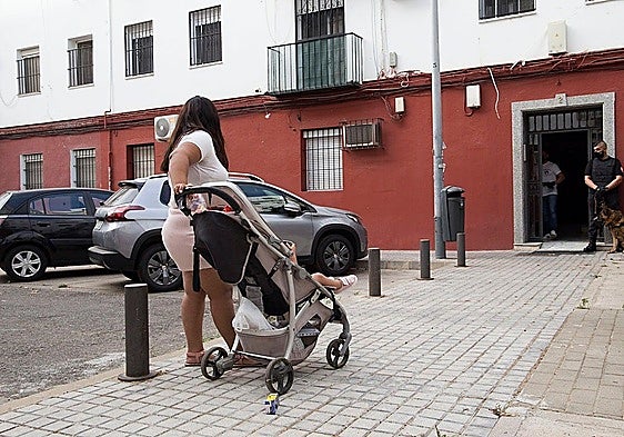 Andalusian regional government processes 2,800 cases of squatting