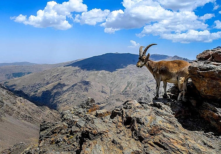 Andalusian regional government starts modernisation of Sierra Nevada plan