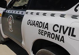 One arrested on Costa del Sol for illegal capture of protected bird species