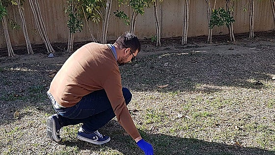Eastern Costa del Sol town introduces DNA checks to catch owners who fail to pick up dog poo