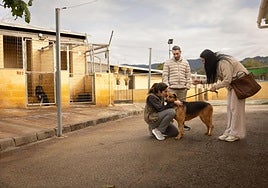 A dog with a new family, receiving some cuddles from a volunteer at the shelter.