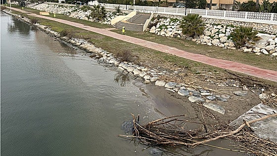 Flooding of the river park will cost Fuengirola residents over 180,000 euros to clean up