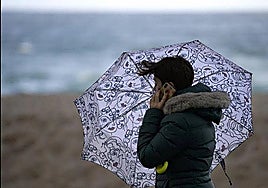 Storm Harry triggers yellow warnings for wind and waves in Malaga province from Tuesday onwards