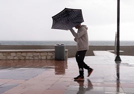Rain and wind on the Malaga promenade.