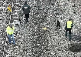 The Guardia Civil and sniffer dogs search the tracks.