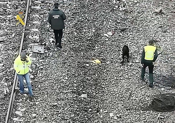 The Guardia Civil and sniffer dogs search the tracks.