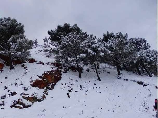 Snow in the Sierra Bermeja.