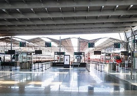 Archive photo of the María Zambrano station in Malaga.