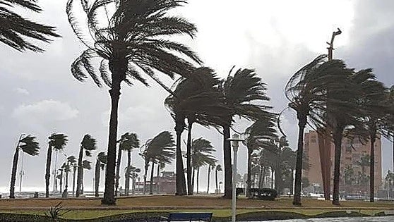 BREAKING: Malaga city closes parks on Wednesday due to amber wind warning