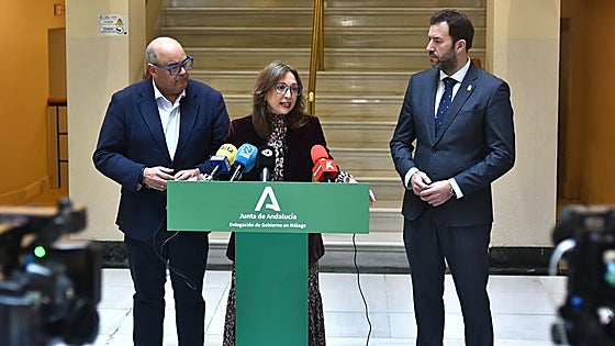 Malaga electricity: regional government warns lack of investment blocks 4,000 homes