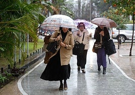 Pedestrians dodging the latest downpour in Malaga city's main park.