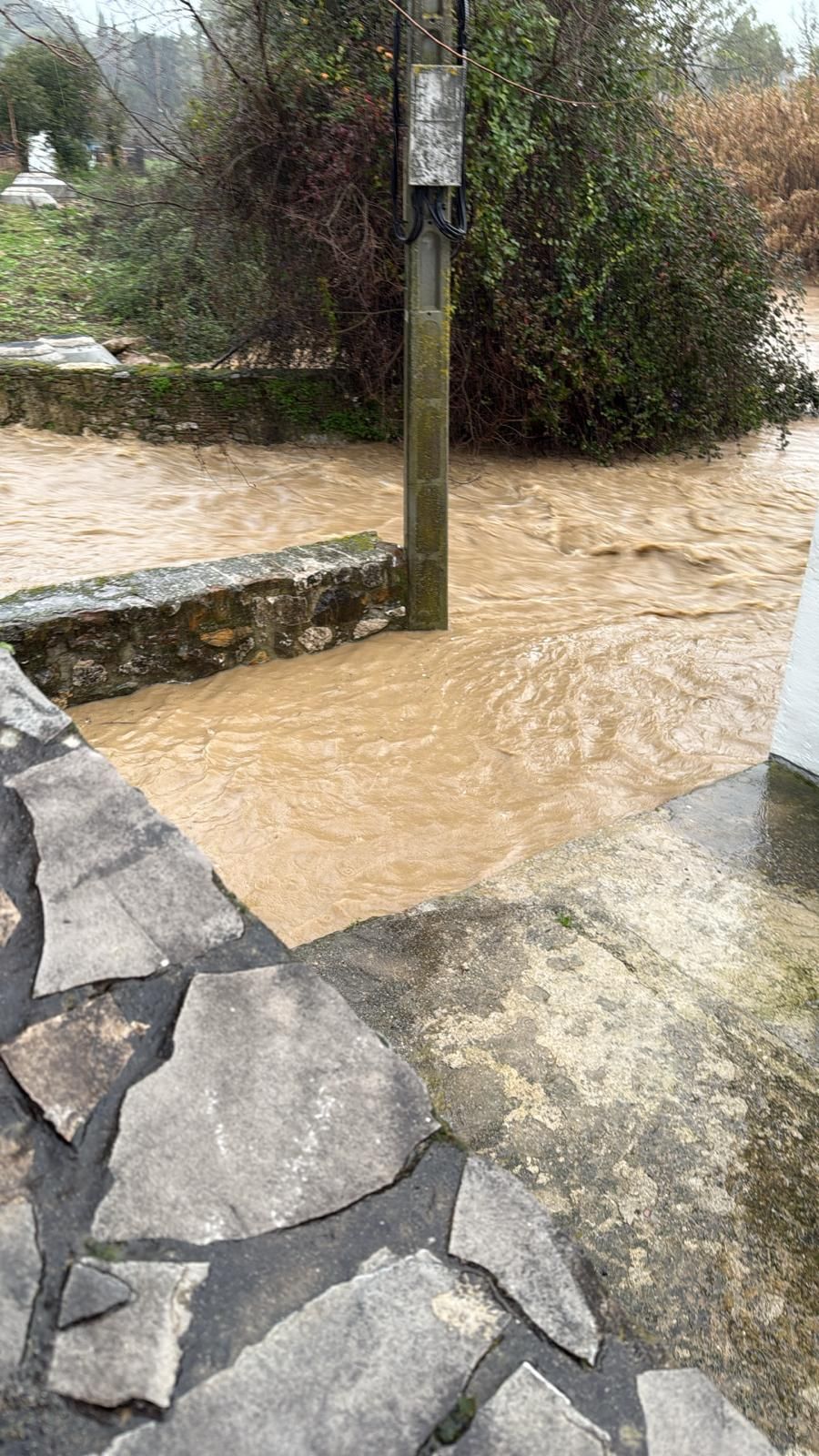 Cortes de la Frontera.