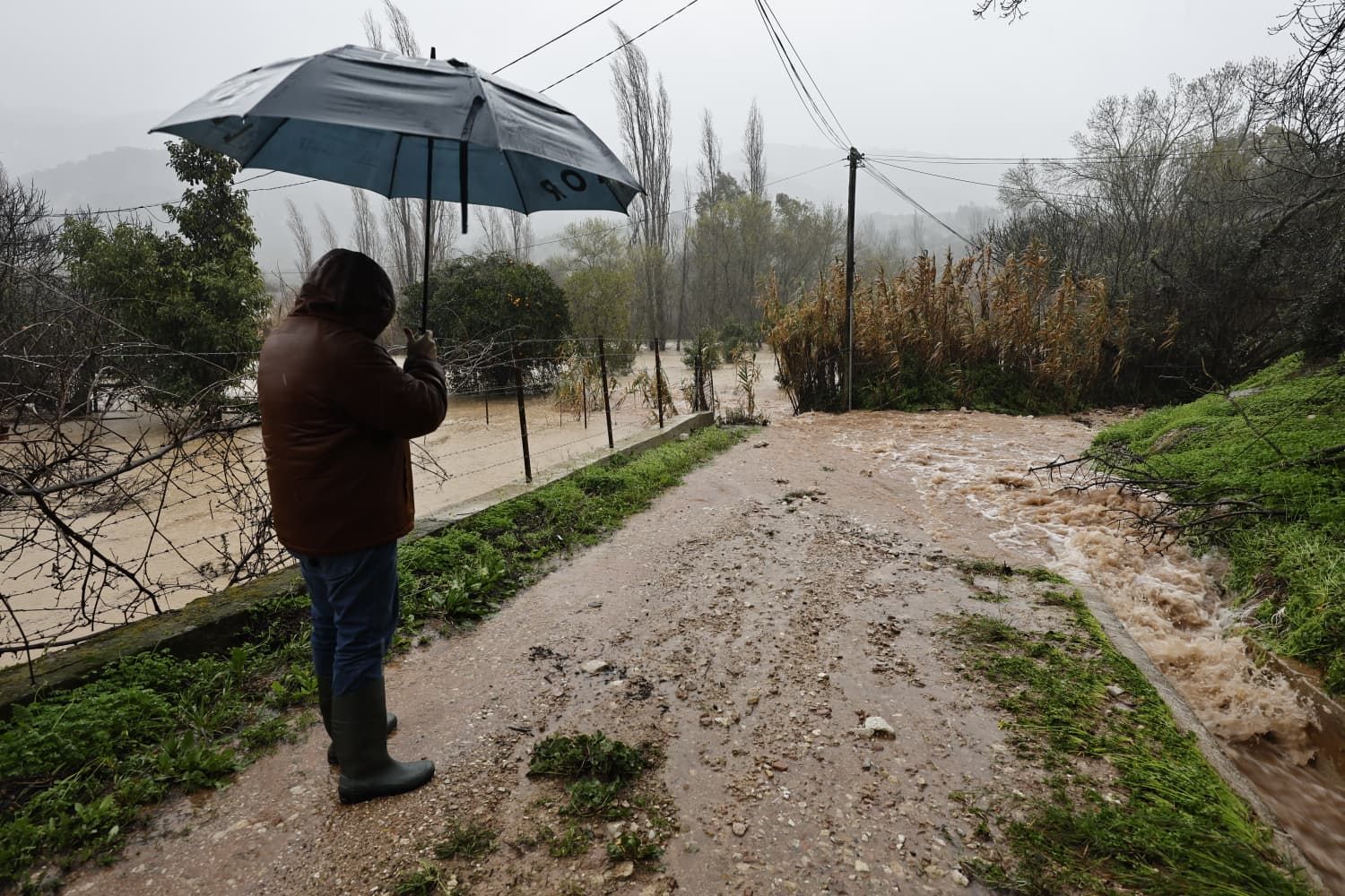 Images taken in Benaoján and Jimera de Líbar on Wednesday morning.