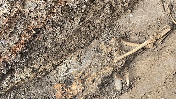 Human remains from the Arab period unearthed during work on a car park in Estepona