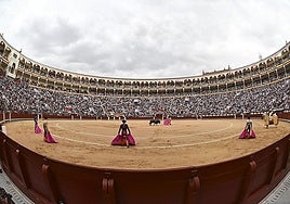 UN urges Spain to ban children from bullfights to protect them from 'extreme violence'