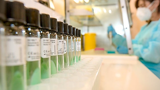 Andalucía measles outbreak: second vaccine dose brought forward as cases surge in Malaga