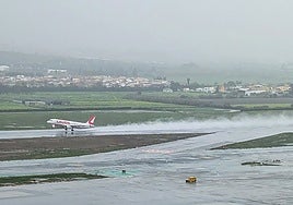 Archive image of a Lauda Air plane landing at Malaga airport.
