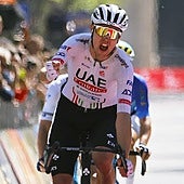 French cyclist Sivakov, riding for UAE Team Emirates.