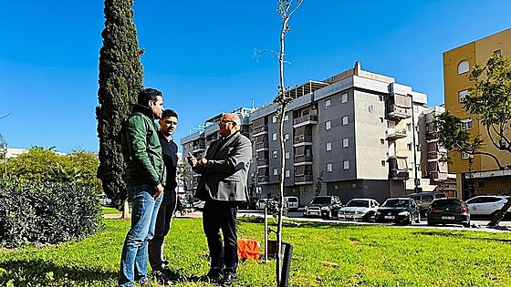 Vélez-Málaga town hall to plant 300 new trees in 2026