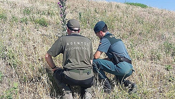 Malaga investigation detects 97 unauthorised wells and boreholes