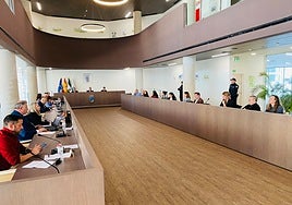 February plenary session in Estepona Town Hall.
