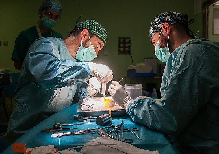 Malaga hospital second in Spain in kidney transplants in 2025