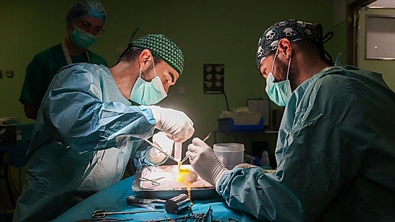 Malaga hospital second in Spain in kidney transplants in 2025