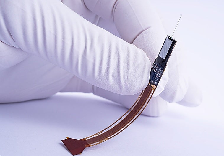 Malaga's future IMEC hub will develop platinum chips for DNA sequencing and brain 'neuropixels'