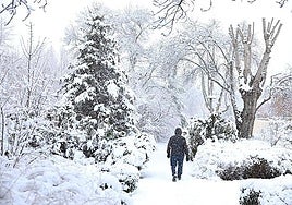 Snow returns with a vengeance for most of Andalucía this Friday.