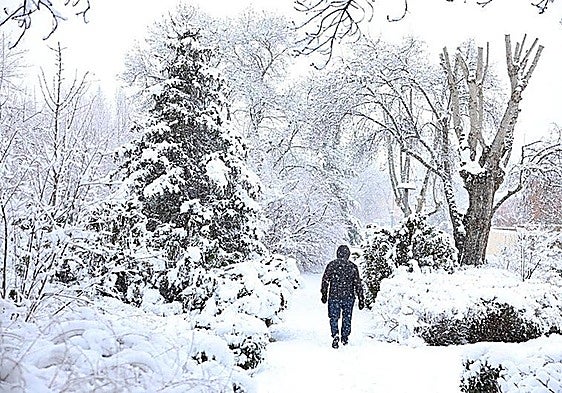 Andalucía weather: yellow alert for snow in four provinces and rough seas in the Med