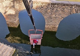 Almuñécar launches mosquito control programme to combat West Nile Fever